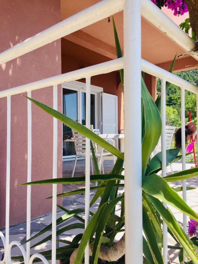 Apartments Jurakovic Živogošće Esterno foto