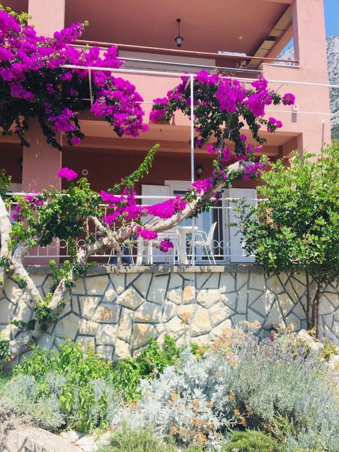 Apartments Jurakovic Živogošće Esterno foto